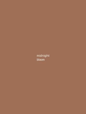 午夜绽放 - 韩国伦理 新作推荐